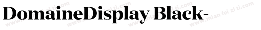DomaineDisplay Black字体转换